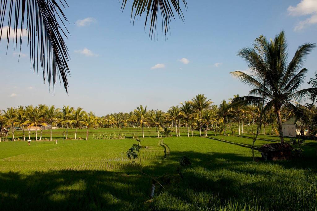 Puri Bebengan Bungalows อูบุด ภายนอก รูปภาพ